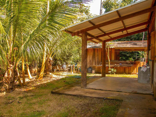 #227 - Área para Venda em Sinop - MT - 2