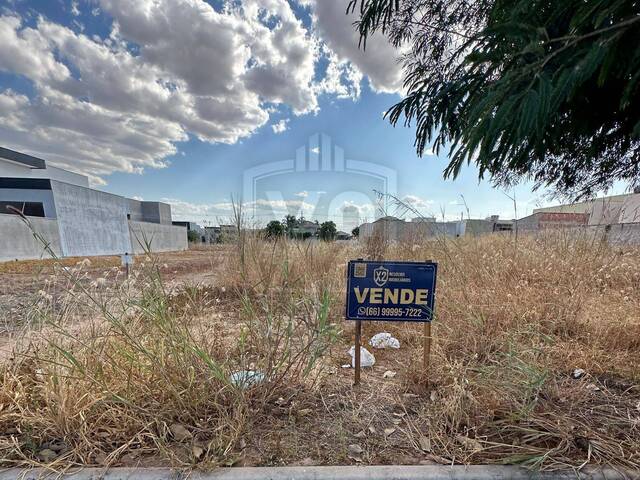 #346 - Área para Venda em Sinop - MT - 1