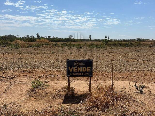 #347 - Área para Venda em Sinop - MT - 1