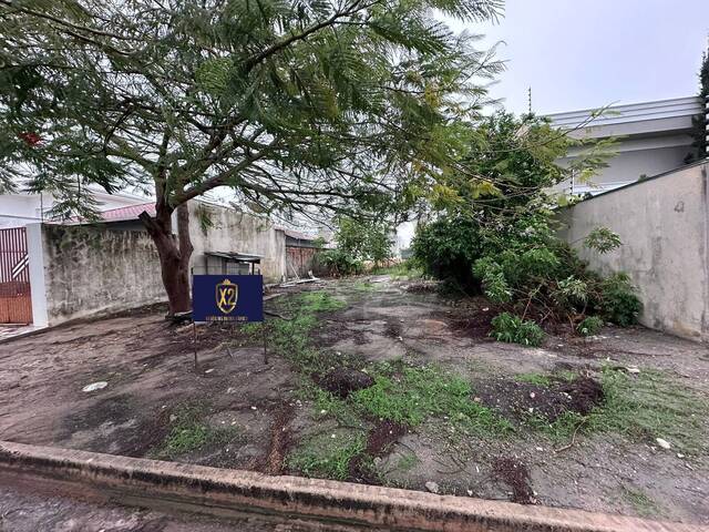 #438 - Área para Venda em Sinop - MT