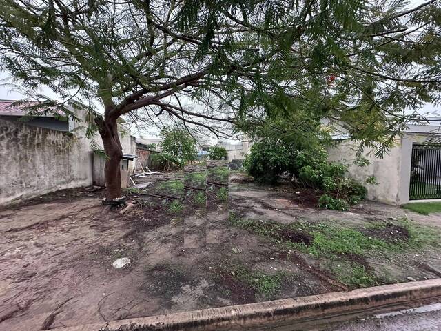 #438 - Área para Venda em Sinop - MT