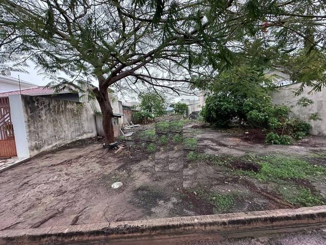 #438 - Área para Venda em Sinop - MT