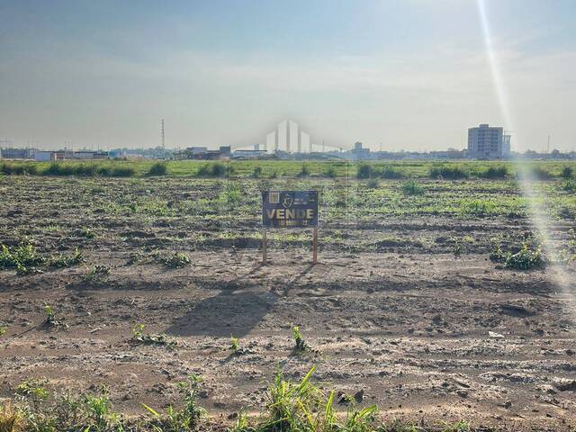 #463 - Área para Venda em Sinop - MT