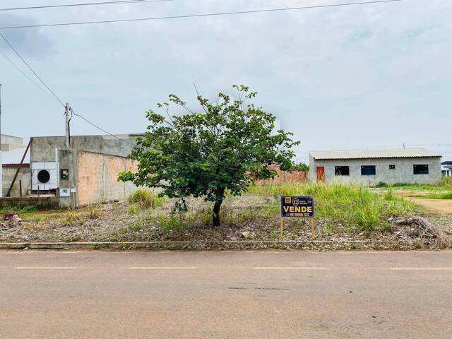 #491 - Área para Venda em Sinop - MT - 1