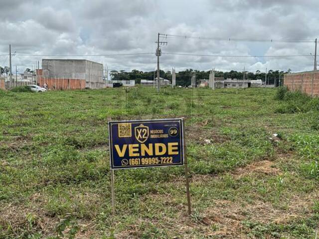 #560 - Área para Venda em Sinop - MT - 1