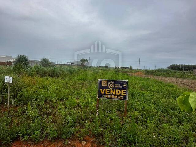 #562 - Área para Venda em Sinop - MT - 1