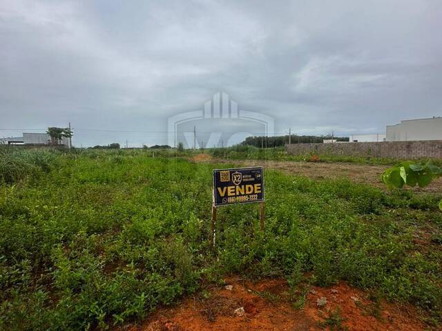 #562 - Área para Venda em Sinop - MT - 3