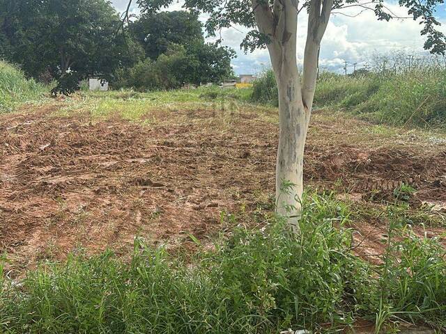 #563 - Área para Venda em Sinop - MT - 3